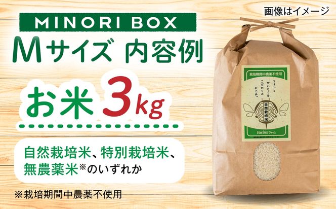 【全3回定期便】糸島産 魚 米 野菜 果物 厳選詰め合わせ MINORI BOX Mサイズ 糸島市 / emma.Inc / 米 魚 野菜 果物 詰め合わせ[AOP024]