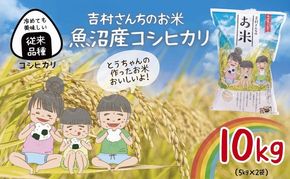 ｜従来品種｜ 魚沼産 コシヒカリ 5kg ×2袋 計10kg 米 こしひかり お米 コメ 新潟 魚沼 魚沼産 白米 送料無料 新潟県産 精米 産直 農家直送 お取り寄せ 吉村さんちのお米 新潟県 十日町市 モチモチ 