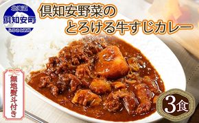 【CF】無地熨斗 倶知安 牛すじカレー 中辛 計3個 北海道 レトルト食品 牛すじ 野菜 じゃがいも お取り寄せ グルメ スパイス おかず お肉 牛肉 加工食品 レトルト カレー 倶知安町 のし 熨斗 惣菜 