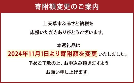 霜降り馬刺し 約320g タレ付き 馬肉 