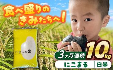 【3回定期便】にこまる　白米　10kg　お米　ご飯　愛西市／株式会社戸倉トラクター[AECS061]