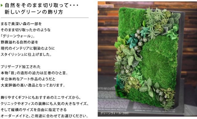 花 プリザーブドフラワー グリーンウォール800 ギフト プレゼント お祝い 誕生日 お供え アレンジ インテリア 東京都 墨田区