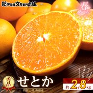【2027年先行予約】せとか 秀品 約2.8kg 和歌山県有田産 春みかん 春柑橘 (果実サイズおまかせ)/紀伊国屋文左衛門本舗_V7411