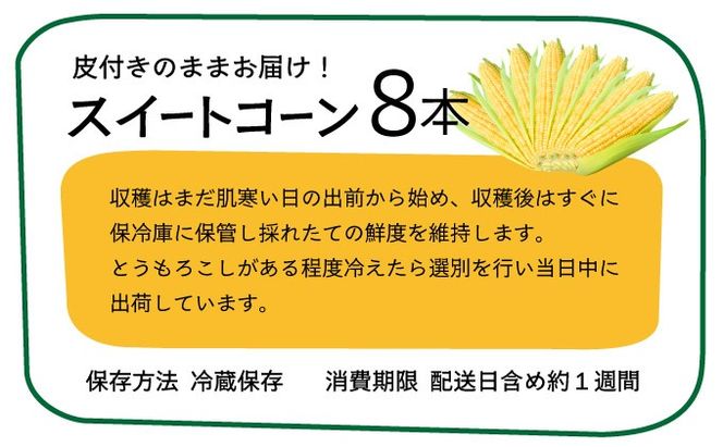 【先行予約2025年12月-2026年4月】 1番遅くて1番早い！？朝採れプレミアムスイートコーンを皮付きのまま８本お届け！！