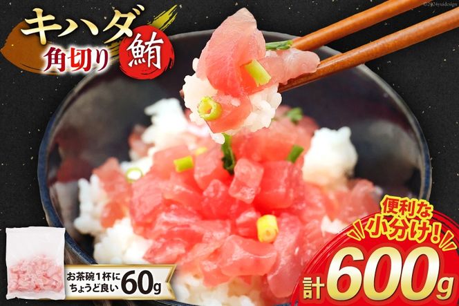 yÉgcz}O VR Ln_}O p؂ 60g 10pbN v600g Ⓚ  [gCY É gc 22424416-c] ܂  maguro CN CN