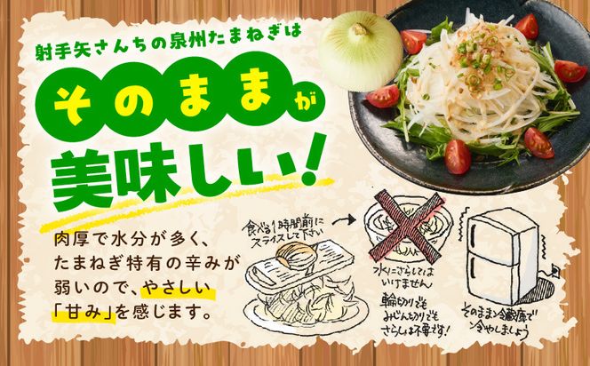 ity0023 【プレミアム】泉州たまねぎ 5kg【玉ねぎ タマネギ 玉葱 甘い 野菜 国産 オニオン サラダ カレー バーベキュー 先行予約】