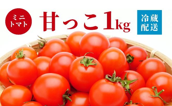 ＜先行予約＞北海道伊達産 ミニトマト 甘っこ 1kg【55250938】とまと 甘い 野菜 やさい 人気 新鮮 産地直送 農家直送 先行受付