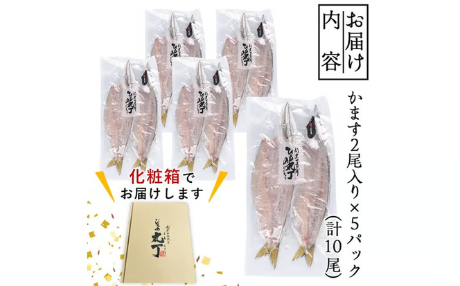 ギフト用品質！九州産ひものかます開き(10尾) 干物 かます カマス 開き 魚 海鮮 冷凍 ひもの 小分け 惣菜 おかず セット ギフト 贈り物 大分県 佐伯市【DH182】【ネクサ】