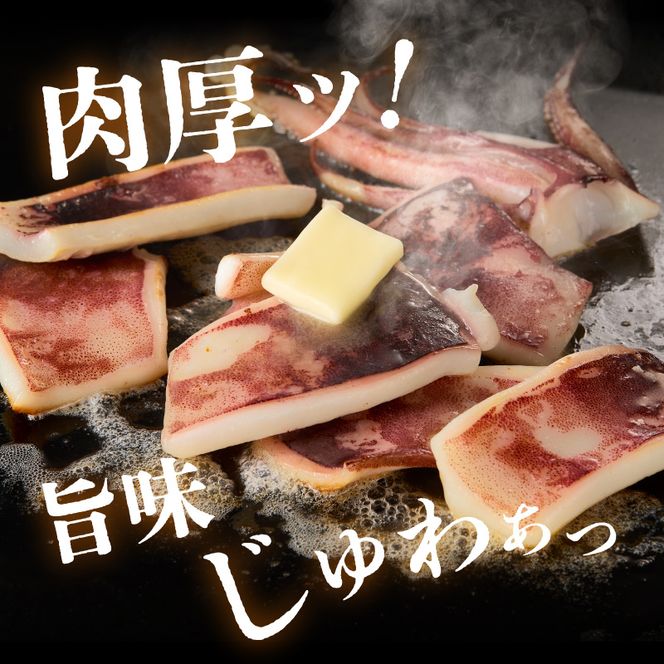 函館産 特大真いか 一夜干し 1枚 いか イカ 烏賊 特大 肉厚 干物 つまみ いか天 イカ天 冷凍 北海道 函館 はこだて_HD010-023