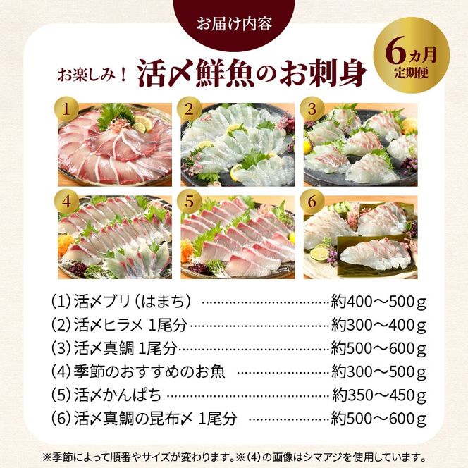 【お楽しみ定期便】延岡産活〆鮮魚の豪華お刺身 （6ヶ月定期便）請関水産　N019-YF073
