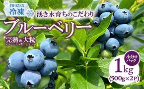 湧き水育ちのこだわり“大粒・完熟”冷凍ブルーベリー 合計1kg（500g×2パック） ｜ 国産・農家直送【ブルーベリーガーデンcoicoi/愛知県額田郡幸田町】　※2026年6月下旬頃より順次発送予定