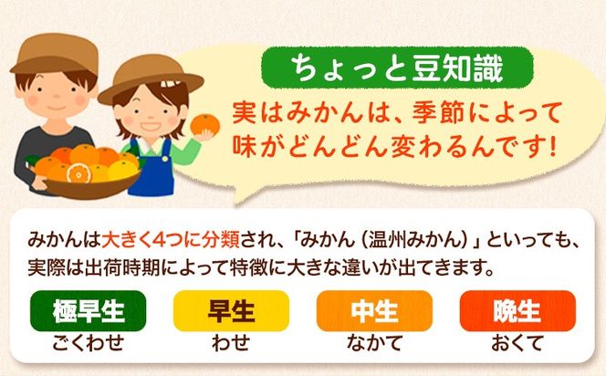 和歌山県産 訳あり みかん (3S～3L) 選べる内容量 約1.5kg 約5kg 約10kg《11月上旬-12月末頃出荷》和歌山県 日高川町 果物 フルーツ 訳ありみかん 家庭用 お試し 大容量 みかん 5kg みかん 10kg---wfn_wlocal_11j12m_25_3000_1500g---