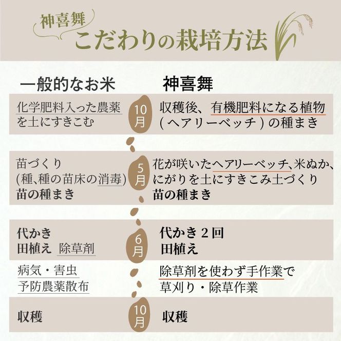 お米 【神喜舞】 玄米5kg [令和7年産]《 お米 玄米 5キロ 安心 安全 米 おこめ 国産 送料無料 ヒノヒカリ 》【2502B08403】