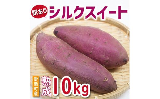 訳あり 熟成 シルクスイート 10kg サイズ混合 サツマイモ 焼き芋 干し芋 丸干し 冷凍焼き芋 冷やし焼き芋 やきいも 蜜芋 ほしいも スイートポテト フライドポテト いも天 サイズミックス  甘い ねっとり しっとり ほくほく 生芋 新芋 芋 いも 甘藷 スイーツ おかず さつまいも 国産 人気 糖度 産地直送 農家直送 数量限定 14000円 愛媛県 愛南町 ミッチーのおみかん畑
