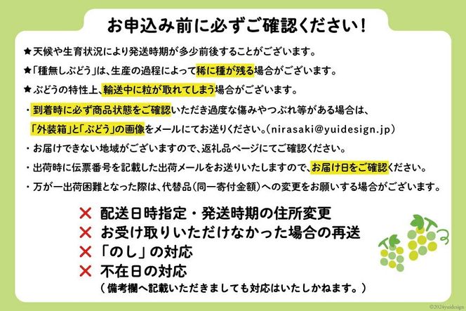 【2026年発送】先行予約 ぶどう シャインマスカット 約1.2kg (2〜2.5房) 【冷蔵発送】 フルーツ 果物 くだもの ブドウ 葡萄 種なし 1.2キロ 甘い 期間限定 季節限定 JA 厳選 山梨県産 令和8年 8月下旬から [梨北農業協同組合 山梨県 韮崎市 20742921]