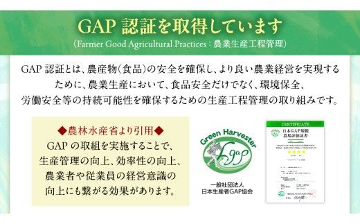 【 ファーム大畑 】まろ福印の 天日干し 椎茸パウダー 40g × 3袋 椎茸 しいたけ GAP規範 干し椎茸 ヴィーガン ビタミンD 葉酸 グアニル酸 遊離 グルタミン酸 佃煮 カレー キムチ 納豆 ヨーグルト 味噌汁 出汁 [AK005ci]