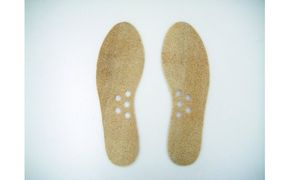 吸放湿性に優れたヘチマ100％の靴の中敷き「ラファス・インソール」　【CW02W】（滋賀県　近江八幡市）
