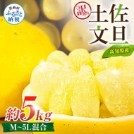 先行予約 訳あり 土佐文旦 家庭用 約5kg 約8～15玉 M～5L混合サイズ 高知県産 文旦 ブンタン ぶんたん 柑橘 かんきつ 蜜柑 みかん 柑橘類 フルーツ 果物 くだもの デザート おやつ 爽やか 甘い ジュース スイーツ 美味しい おいしい