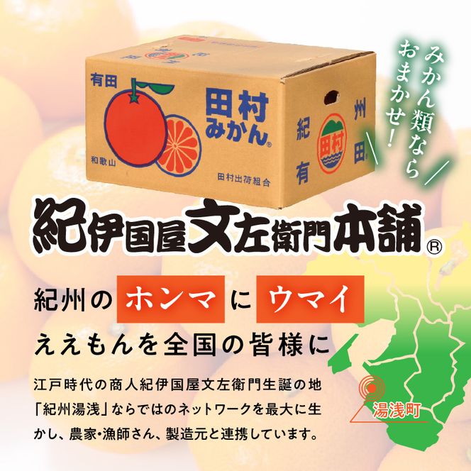 V7452_【2026年先行予約】田村みかん／5kg秀品【小玉サイズ】