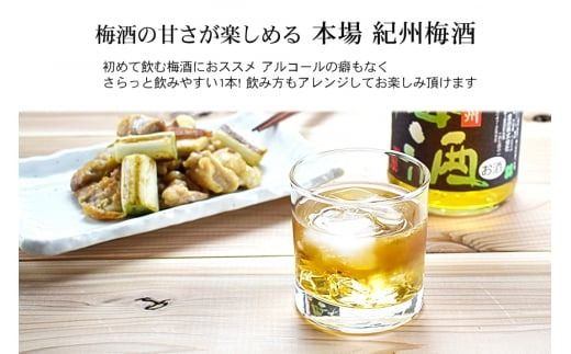 本場紀州梅酒　6本セット【prm016B】