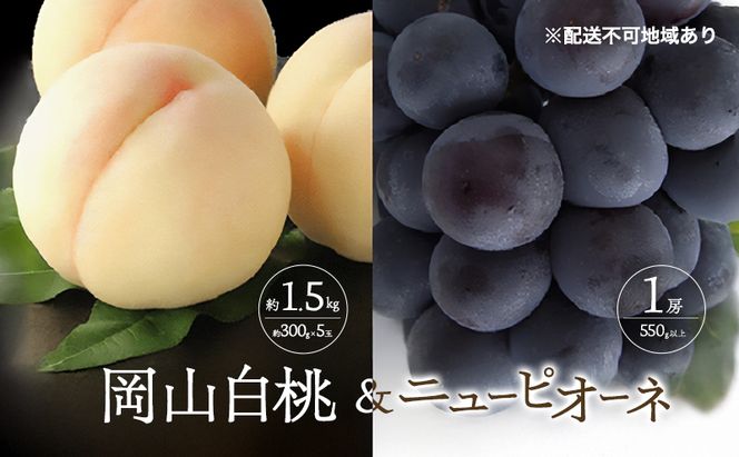 桃 ぶどう 2027年 先行予約 白桃 5玉 合計約1.5kg （1玉 約300g） ニュー ピオーネ 1房 550g もも 葡萄 詰合せ 岡山 国産 フルーツ 果物 ギフト 桃茂実苑
