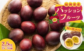 福岡県産 パッションフルーツ 2.5kg (M～3Lサイズ 25～35個) 果物 フルーツ ※配送不可:離島
