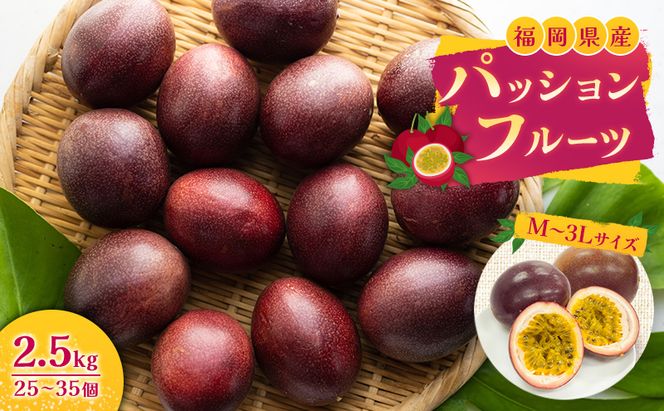福岡県産 パッションフルーツ 2.5kg (M～3Lサイズ 25～35個) 果物 フルーツ ※配送不可:離島