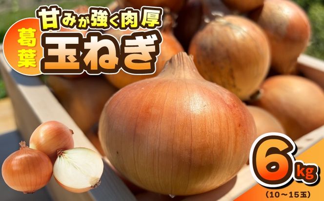 y{򍲖sz010B1773 ys\ztʂ˂ 6kgi10`15ʁj