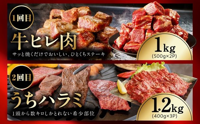 mrzZ106 【定期便】希少部位 定期便6.5万円コース【小分け 希少部位 ヒレ 鶏肉 スペアリブ はらみ ハラミ 牛肉 焼肉 BBQ 簡単調理 味付き】