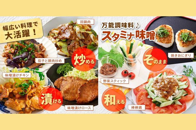 【A5-246】味付け簡単！特製味噌ダレ「スタミナ味噌」【6カ月定期便】