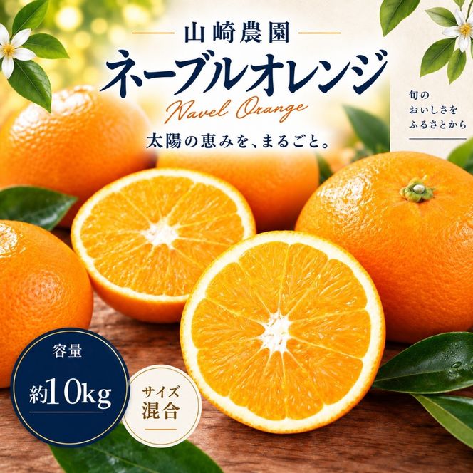 ネーブルオレンジ 約10kg サイズおまかせ アルギット 栽培 国産 甘い おいしい ジューシー 皮 薄い 完熟 期間限定 フルーツ 果物 人気 おすすめ 高級 こだわり ギフト 旬 山崎農園 和歌山 DT25