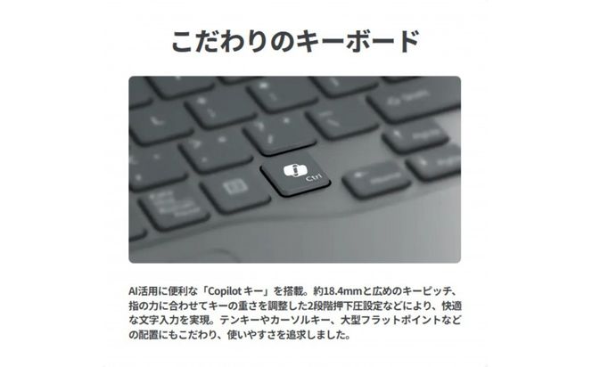 【2026年モデル】ノートパソコン 富士通 FMV WP1-L1  Windows11 AMD Ryzen 5 230 メモリ16GB 約512GB SSD Office有り 322032_CK132