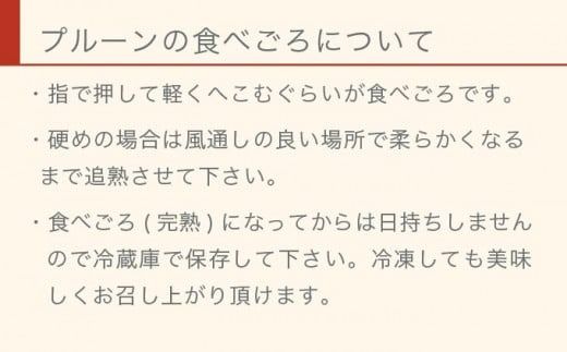長野県産 旬のプルーン 約2kg ［小布施屋］ 生プルーン 果物 フルーツ 令和7年産 【2025年8月上旬～9月発送】 ［A-219］