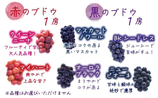 【2026年の先行予約】 岡山 花笑み農園『彩り３種セット』家庭用（1.8kg） 3M-2家 / ぶどう 詰め合わせ 食べ比べ シャインマスカット 岡山 真庭市 【hana085-01】