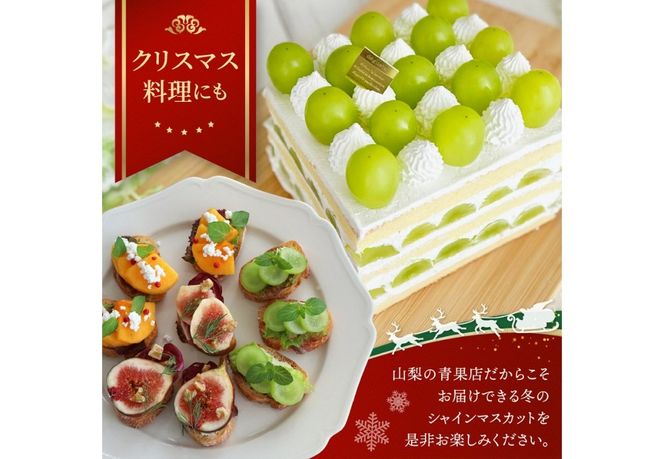 【クリスマスに届く】ジューシーで甘さ抜群　厳選シャインマスカット500g 【2025年12月発送】期間限定 シャインマスカット ぶどう シャイン フルーツ 果物 山梨 富士吉田
