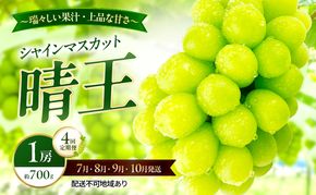ぶどう 2026年 先行予約 定期便 シャインマスカット 晴王 1房 約700g 7月・8月・9月・10月 4回発送 岡山県産 種無し 皮ごと食べる みずみずしい 甘い 瀬戸内 晴れの国 おかやま 果物大国 満天フルーツ