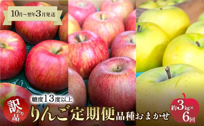 【10月～翌年3月発送 りんご定期便】糖度13度以上 家庭用訳あり りんご 約3kg × 6回 家庭用訳ありコース【青森りんご】 リンゴ 林檎 訳あり 家庭用 果物 フルーツ 青森県 鶴田町