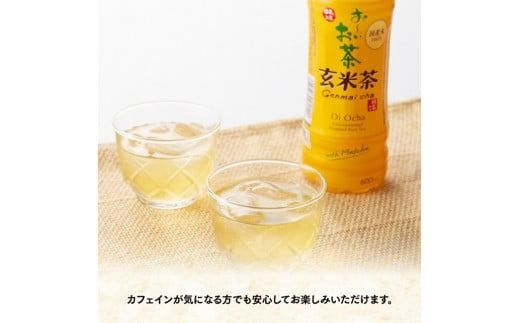 おーいお茶 玄米茶 600ml×48本 PET 【ペットボトル セット 備蓄 ソフトドリンク お～いお茶 送料無料 】宮崎県川南町 [D07361]