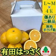 有田 はっさく L または M 4玉入 ちょっと 傷あり 手さげ箱  南泰園 みかん BS717