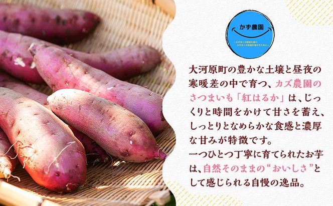 大河原町産紅はるかジェラート３個