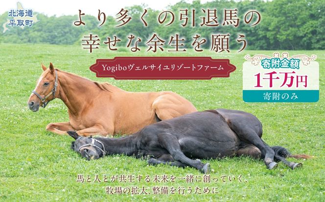 【1000万円コース 返礼品無し】より多くの引退馬の幸せな余生を願う　Yogiboヴェルサイユリゾートファーム BRTV024-07