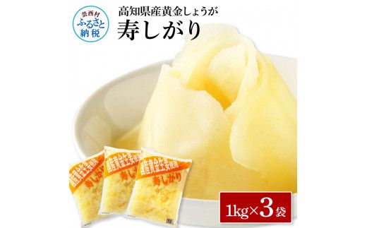 [CF-R7hbk]SNS005 国産黄金しょうが寿しがり1kg×3袋 - ガリ しょうが ショウガ 生姜 坂田信夫商店 黄金しょうが 国産 お寿司 付け合せ 寿司用がり ふるさとのうぜい 故郷納税 15000円 返礼品 高知