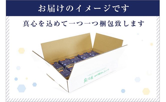 【定期便／3ヶ月】ゆきまち米 2合×10個 極上魚沼産コシヒカリ お米 こしひかり 魚沼産こしひかり