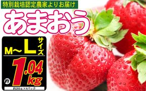 あまおう M～L 約1.04kg 約260g×4パック ※配送不可：北海道・東北・沖縄・離島 果物 苺 フルーツ デザート 旬 大粒 M～L以上 旬のあまおう 福岡の特産品 