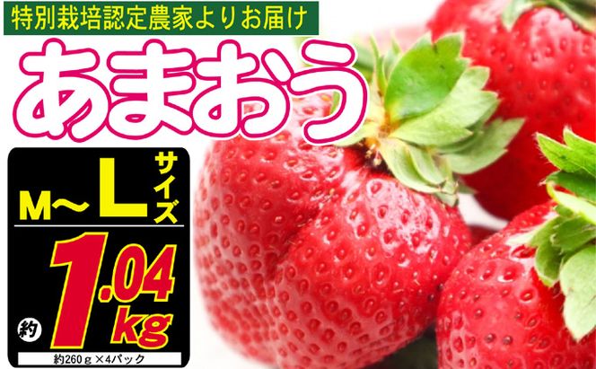 あまおう M～L 約1.04kg 約260g×4パック ※配送不可：北海道・東北・沖縄・離島 果物 苺 フルーツ デザート 旬 大粒 M～L以上 旬のあまおう 福岡の特産品 