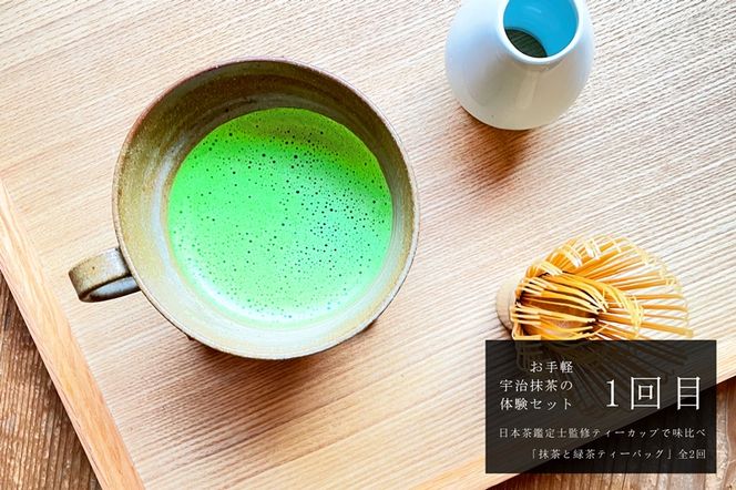 ティーカップで味比べ「抹茶と緑茶ティーバッグ」日本茶鑑定士監修【全2回】〈定期便 お茶 緑茶 煎茶 宇治抹茶 抹茶 ティーバッグ 玉露 かぶせ茶 ティーカップ ティーパック 初心者 飲料 加工食品〉 