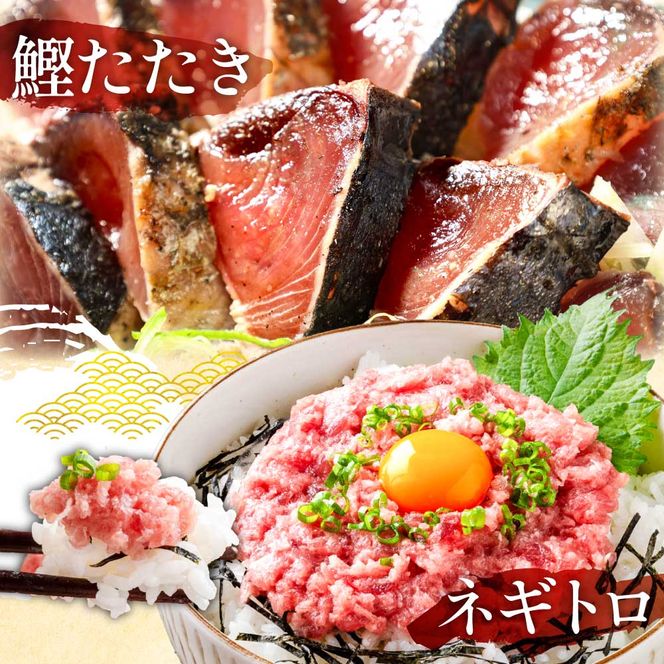 【CF-R7hbk】かつおのたたき600g ネギトロ80gx2P 漬け丼の素80g×4P 海鮮セット カツオのタタキ ねぎとろ 真鯛 たい まぐろ マグロ サーモン イカ いか 刺身 魚 海鮮丼 魚介 小分け おかず 個包装 パック 冷凍配送