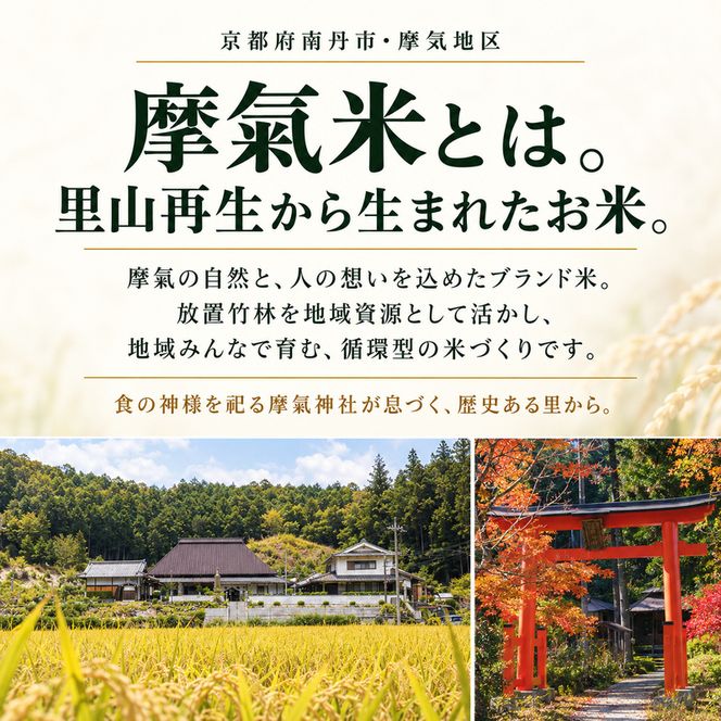 【定期便6回】令和8年産新米 有機堆肥栽培米 こしひかり 摩氣米 5kg コシヒカリ 精米 白米 米 コメ お米 おこめ ご飯 ごはん 京都 令和8年 5キロ 新米 新米26