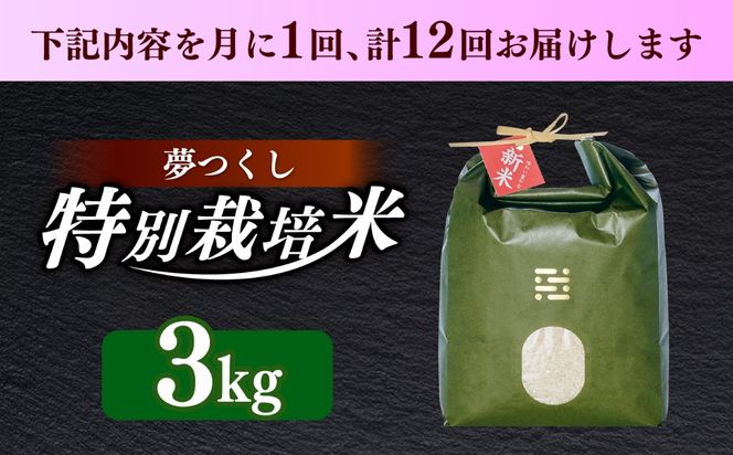 【全12回定期便】とくべつの中のとくべつ  特別栽培米  夢つくし 3kg 【築上町】 / itoshimacco / 株式会社やました[ABEX004]