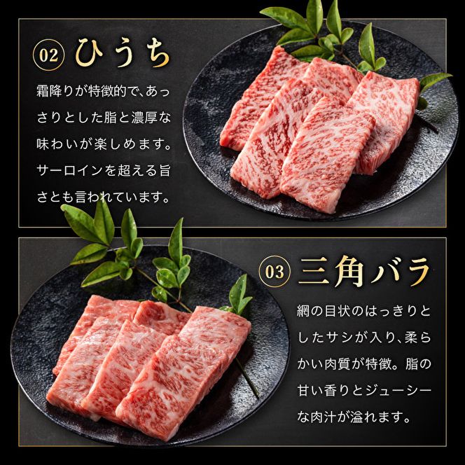 神戸牛 希少部位 焼肉セット 5種 計800g ミスジ ヒウチ 三角バラ トウガラシ マルシン